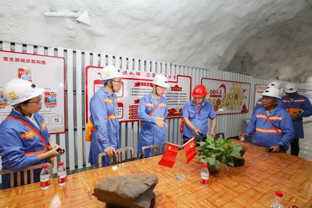 昌江县委书记陈儒茂到海南矿业调研2_副本.jpg